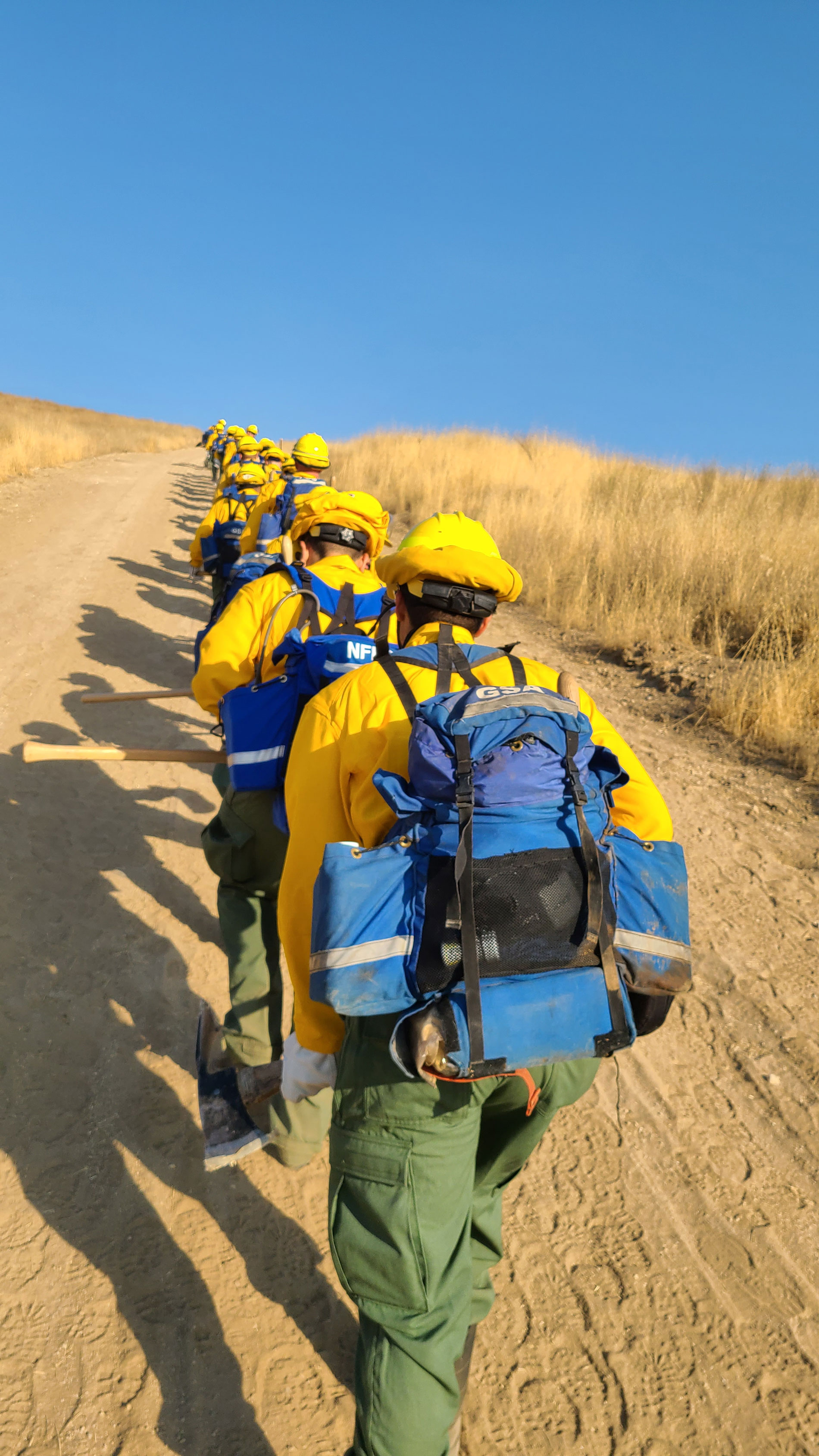 California Emergency Management